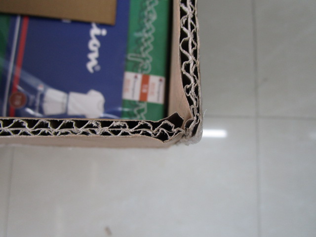 Environmental Sustainability packing